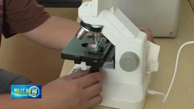 海丝路上的蓝色粮仓 大食物观的阳江实践 2025年丝绸之路电视共同体高峰论坛特别报道(图4)