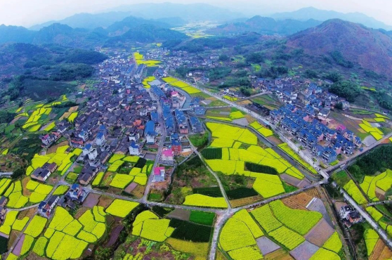 div data=datasource：20230919568f87ed9f16430c9c546efd517d4402 type=content(图2)