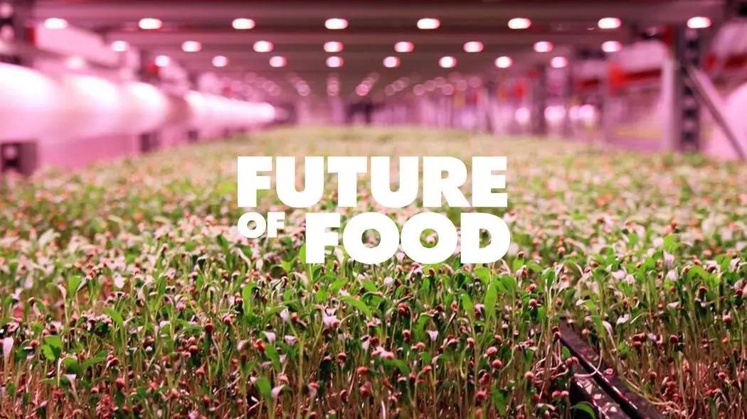 黄淮平原农业高质高效发展暨2025河南现代农业与未来食品研究会年会在我市举行(图1)