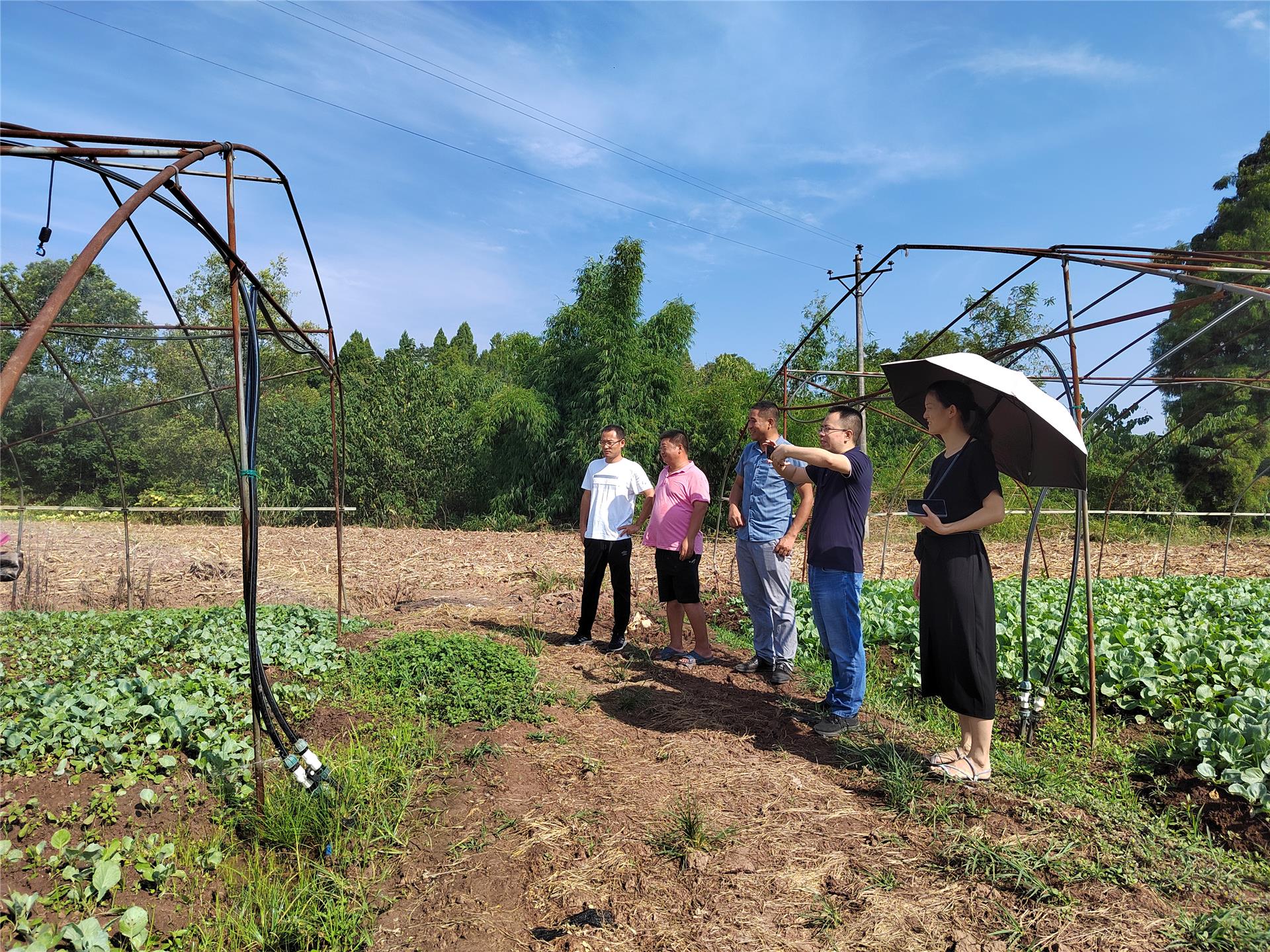 关于河南城乡融合发展的现状分析和对策建议