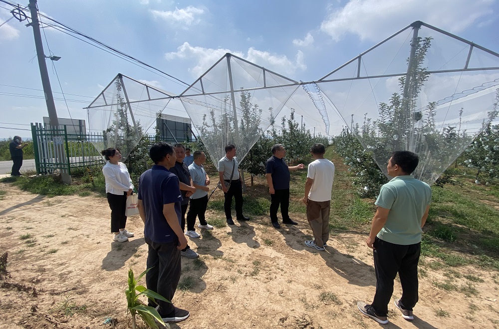 在土地与数据之间生长的中国农业现代化新叙事前沿探索路径