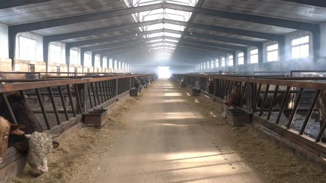 乌鲁木齐市米东区人民政府(图3)