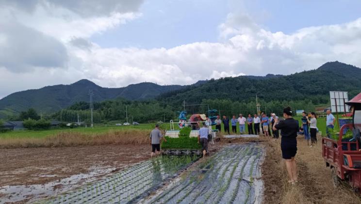 塑造农业的深科技革命