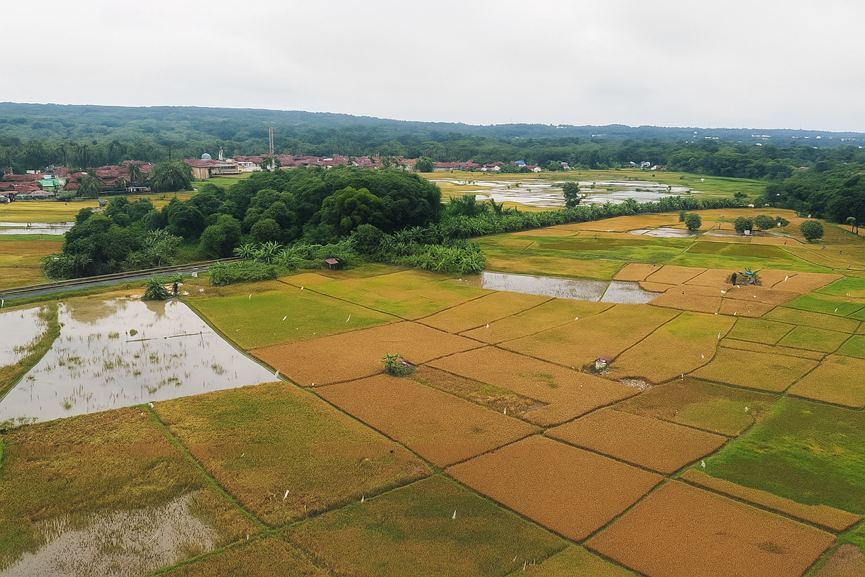 威乐环球 威乐太阳能灌溉技术助力粮食安全与可持续农业