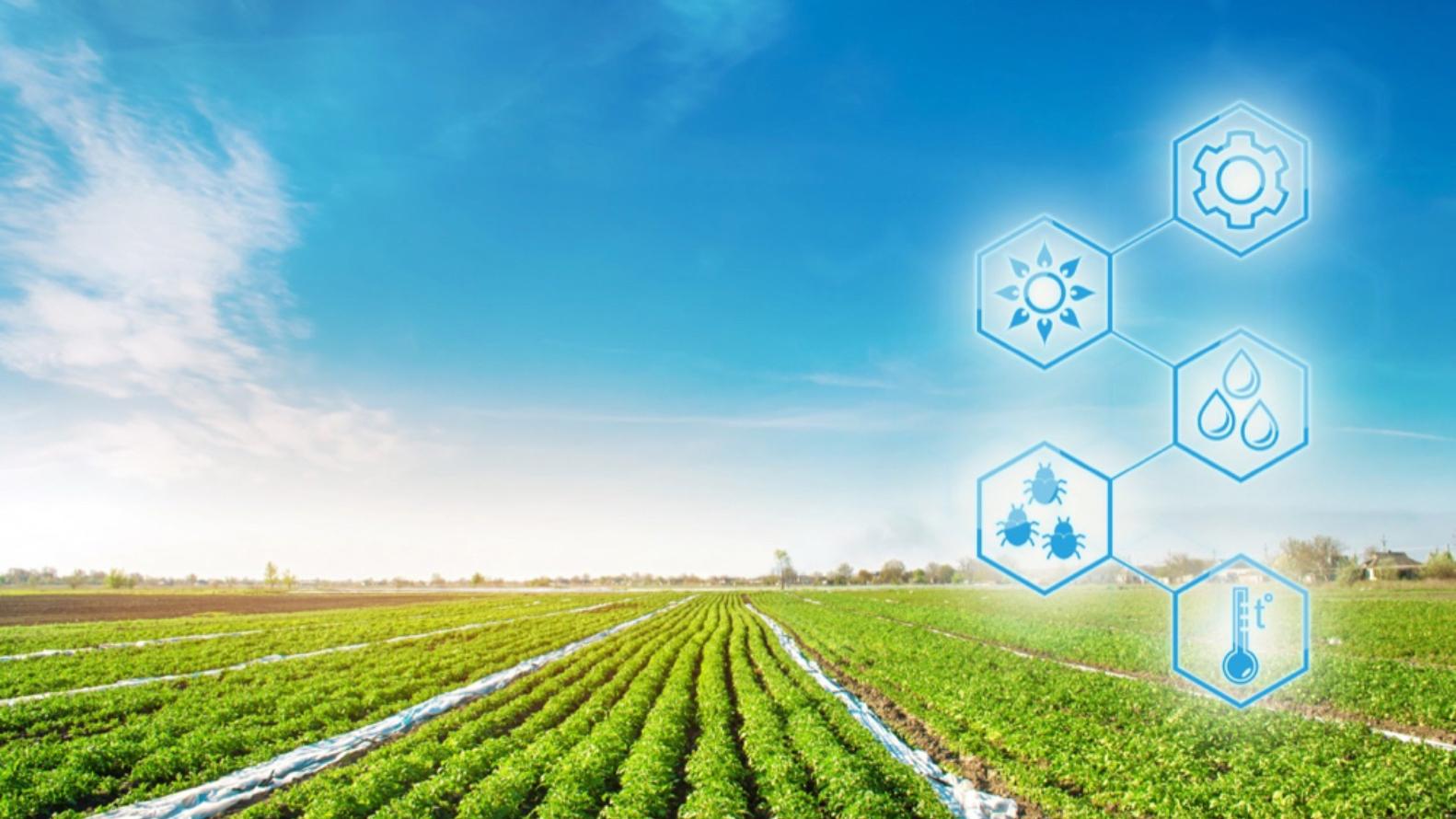 湖北黄冈市：推动帮扶产业可持续发展