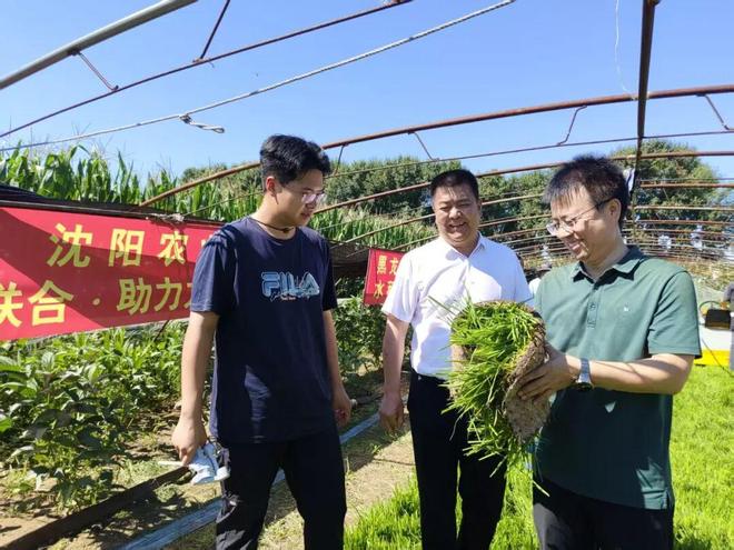 啥是“四大员”？七万学子下乡竟是为了它？(图3)