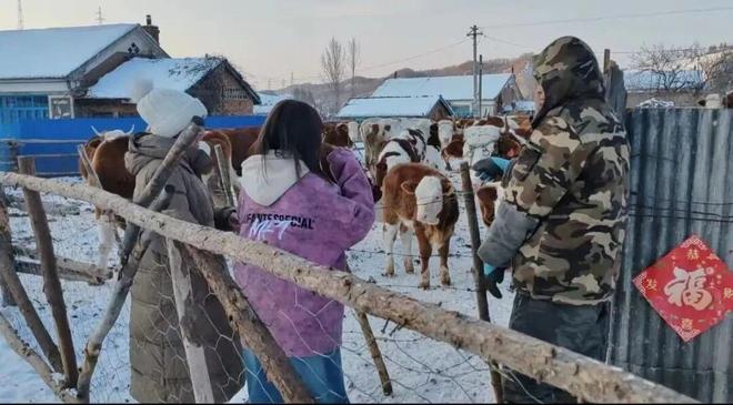 啥是“四大员”？七万学子下乡竟是为了它？(图5)