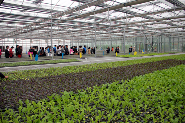 国务院国资委：聚焦生物育种等领域 加强农业关键核心技术攻关和科技成果高效转化应用