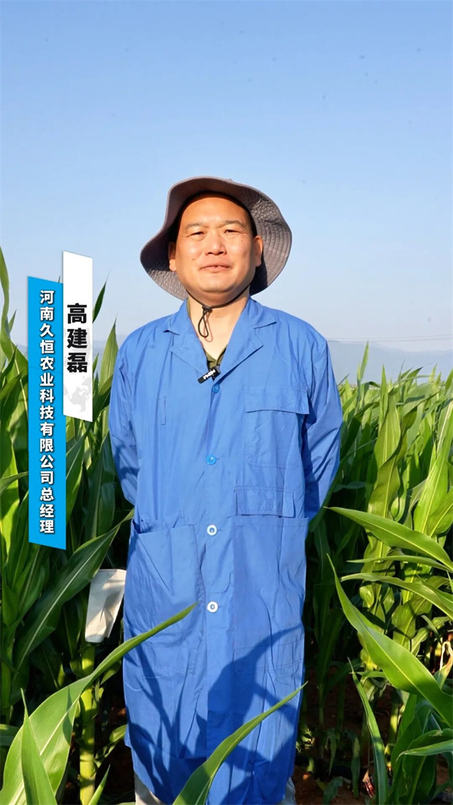 南繁基地行记（一）‖久恒农业：继续坚持种业科技创新与实干在种子培育与推广道路上实现新突破(图2)