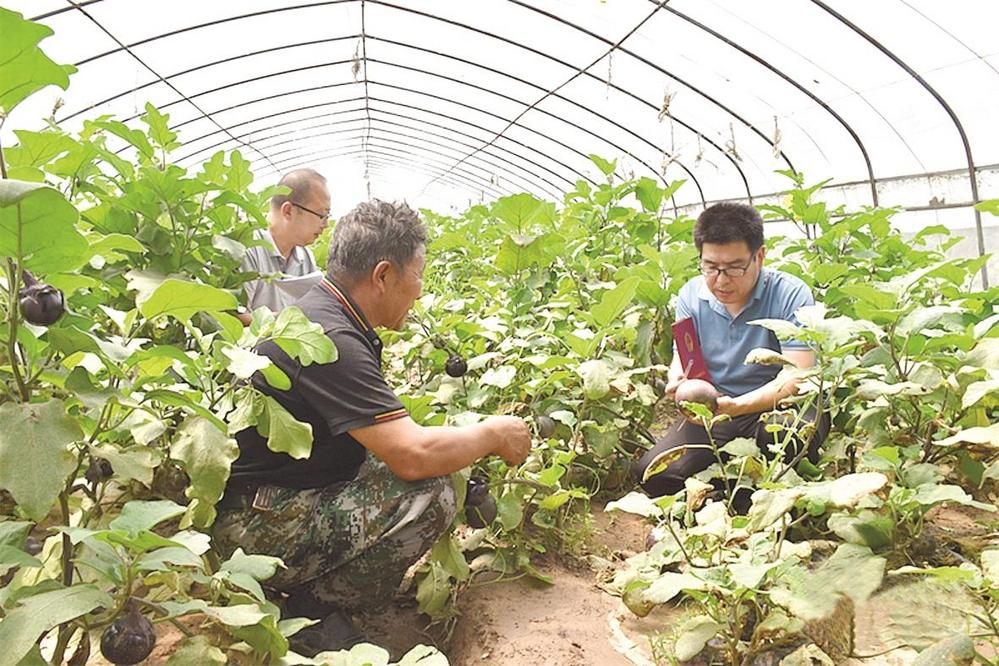 国际农业发展基金支持小农户气候智能型农业技术