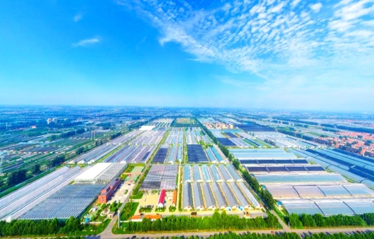 文明高地 耕读潍坊丨北纬37°的农业文化奇迹(图3)