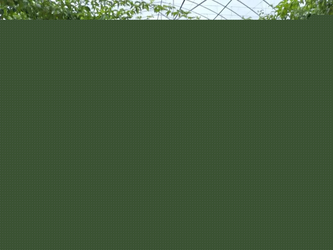 湖北省宜昌市秭归县委书记 顾鹏飞：探索加快山区农业农村现代化的有效路径