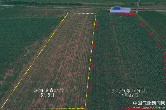 农业气象服务效益几何？田间试验给答案 轻至中度灾害年份增产贡献率均值为125%(图2)