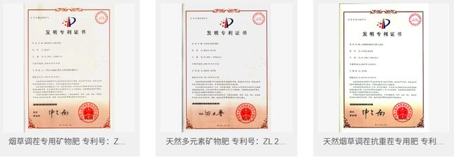 平顶山市润森天然多元素矿物肥有限公司：绿色农业的领航者(图6)