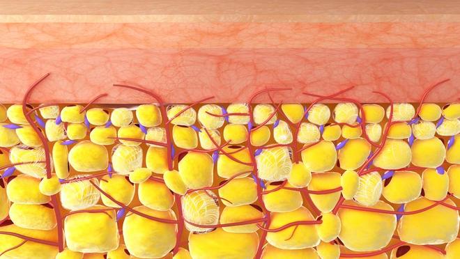 医生强调：早上经常吃鸡蛋的老人过不了多久身体或有4个改变(图8)