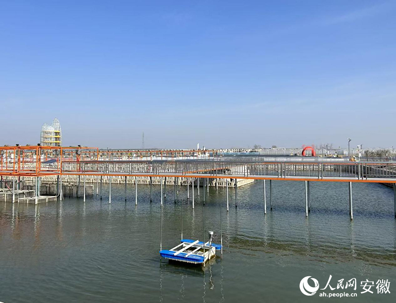 展望“十五五” 奋进新安庆｜科技赋能 现代农业拔节生长(图2)