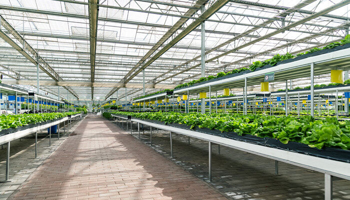 2026年数字生活新趋势：VRAR与智能消费的崛起