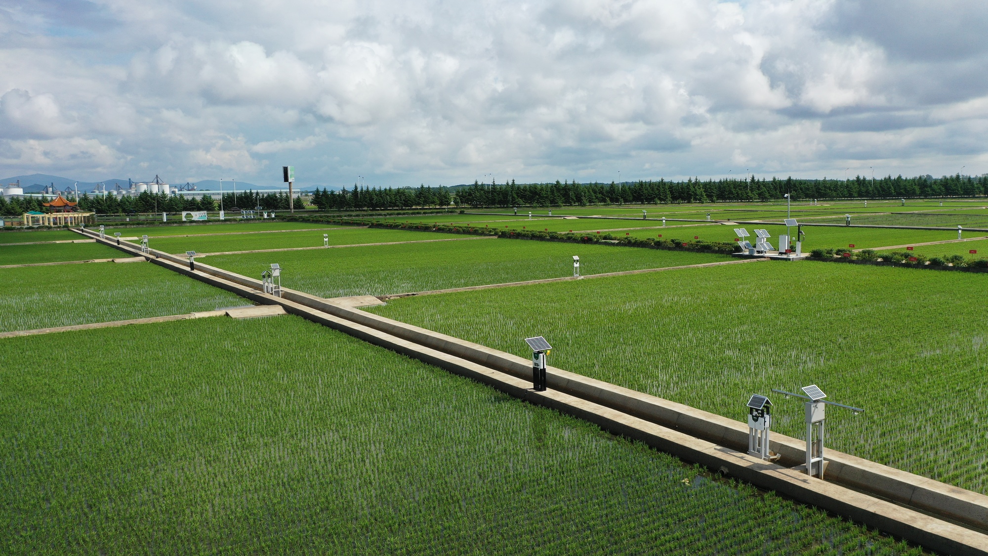 聚焦北大荒丨八五四分公司：以科技赋能激活农业新质生产力