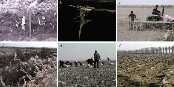 新书推荐丨《生物降解地膜研究与应用》：助力农业绿色可持续发展(图4)