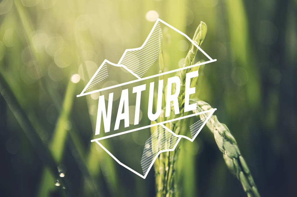 “十五五”智慧农业迎来大机遇投资入局的四大策略