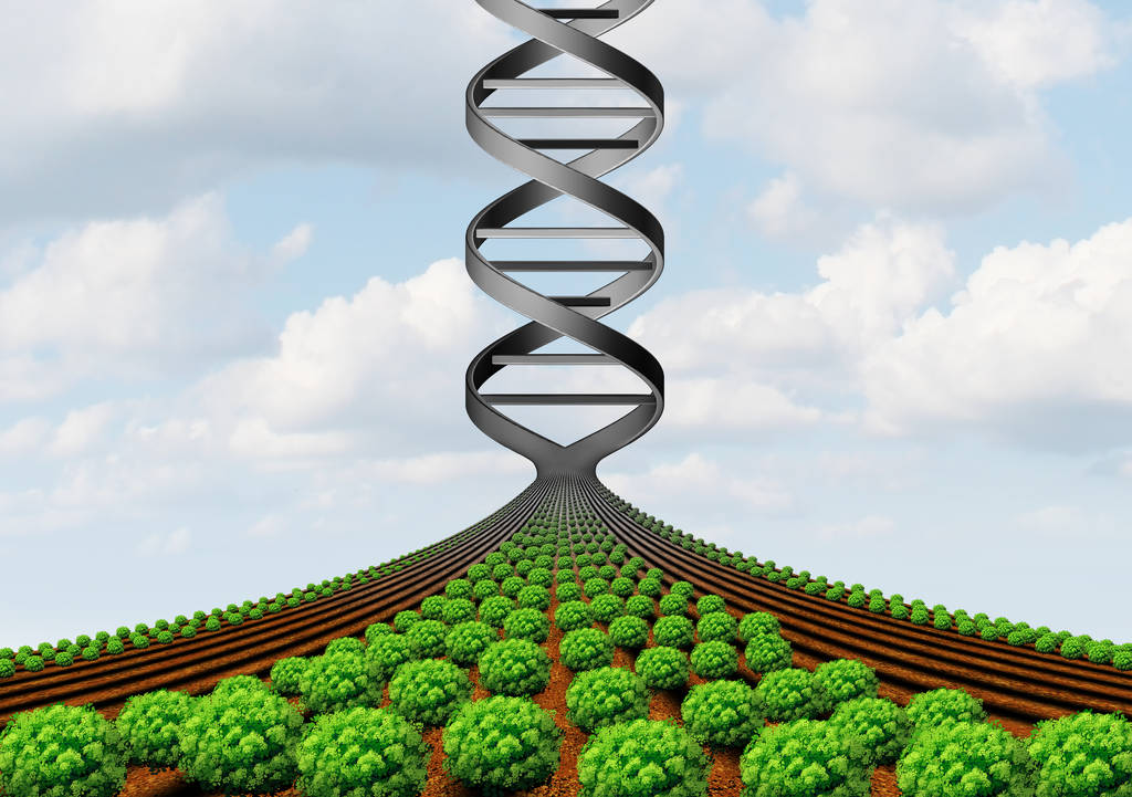 2026-2030年中国功能性糖果行业：告别“同质化”生物技术如何重塑行业利润？