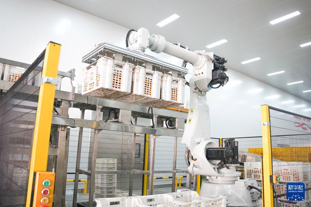 2026济南生物发酵科研成果发布会3月启幕 30+高校携前沿成果赋能产业升级