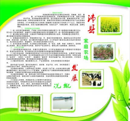 推进乡村全面振兴人文经济值得重视