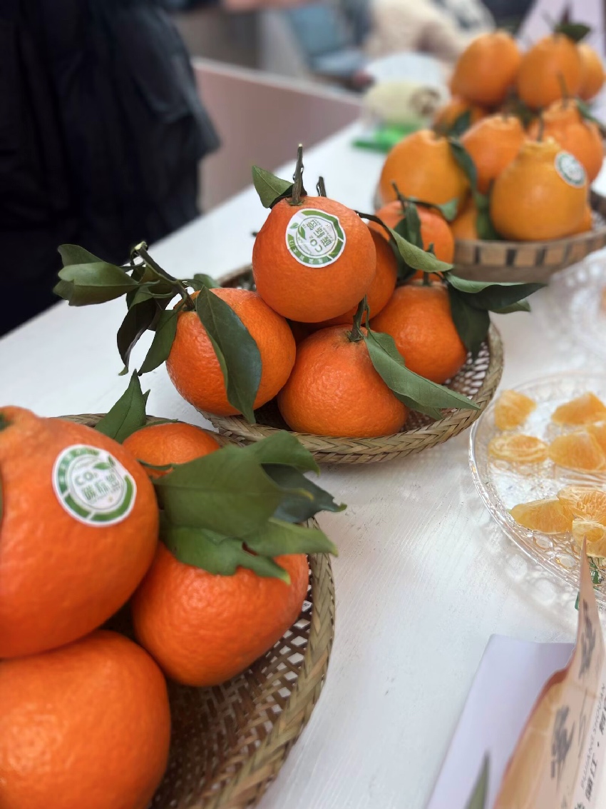 新春走基层｜减碳让大橘有大利！