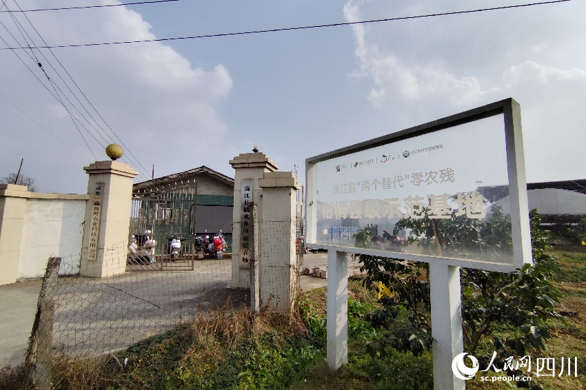 新春走基层｜减碳让大橘有大利！(图2)