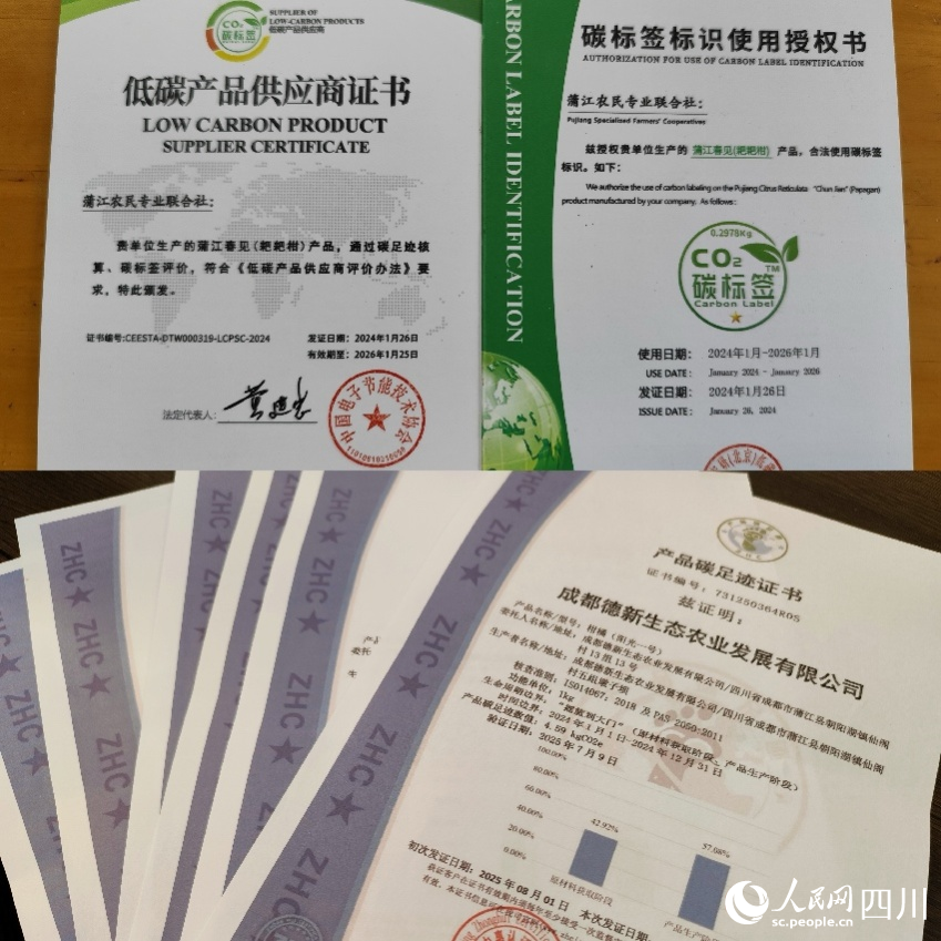 新春走基层｜减碳让大橘有大利！(图3)