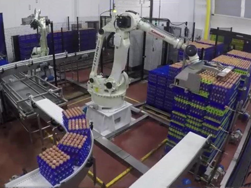 在马年藏了一个小惊喜开启新春好光景