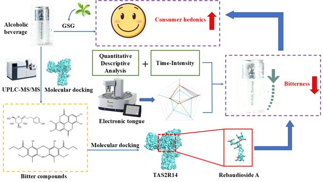 第三届未来食品科技创新国际研讨会-冯涛教授：葡萄糖基甜菊糖苷对酒精饮料的苦味抑制及机制研究