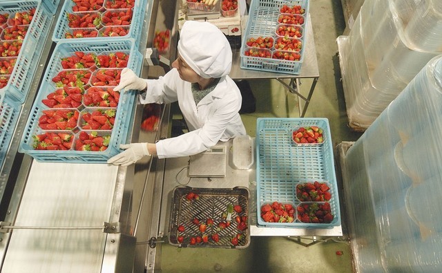 广东：制造业的“精密齿轮”咬合现代服务业的“智慧算法”