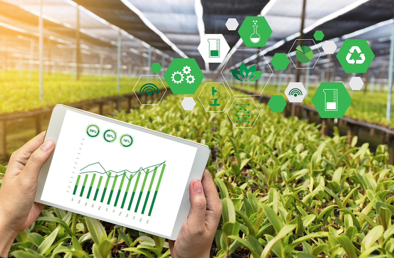 泥土地上的蓝色畅想——乡村调研有感