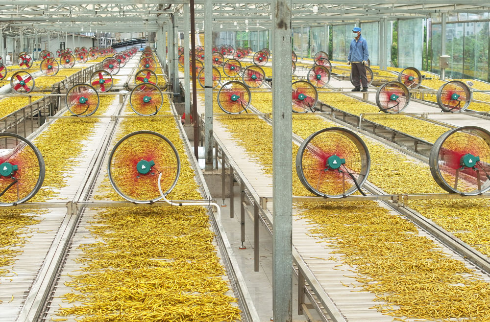 习近平总书记引领中国从脱贫攻坚迈向乡村全面振兴(图9)