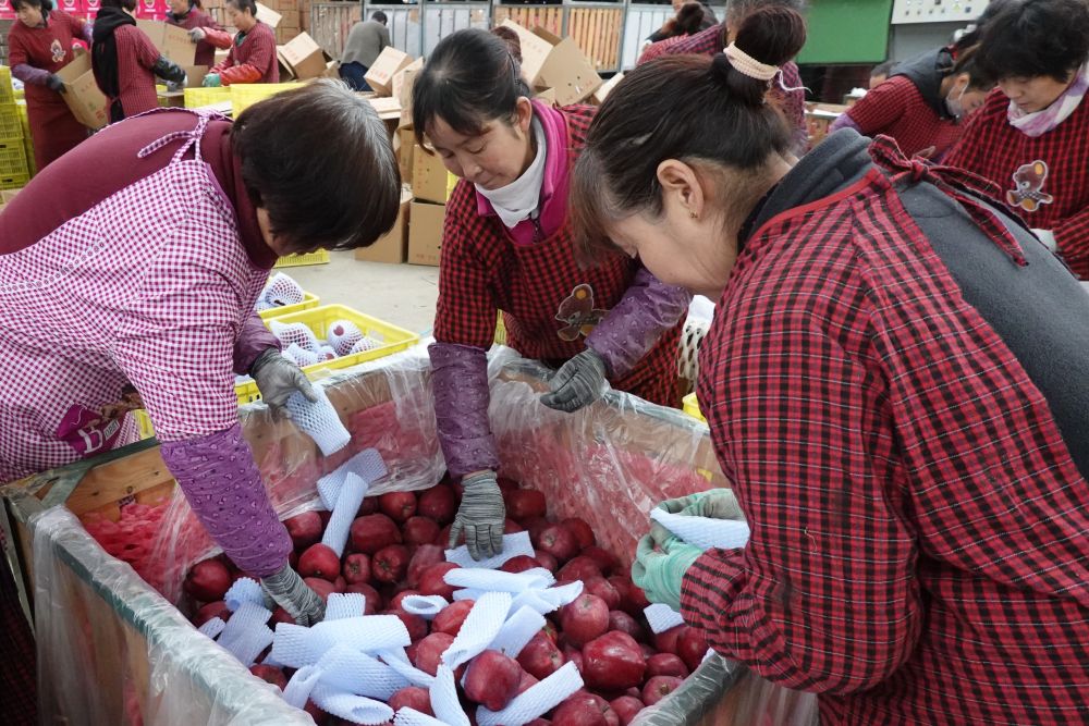 习近平总书记引领中国从脱贫攻坚迈向乡村全面振兴(图12)