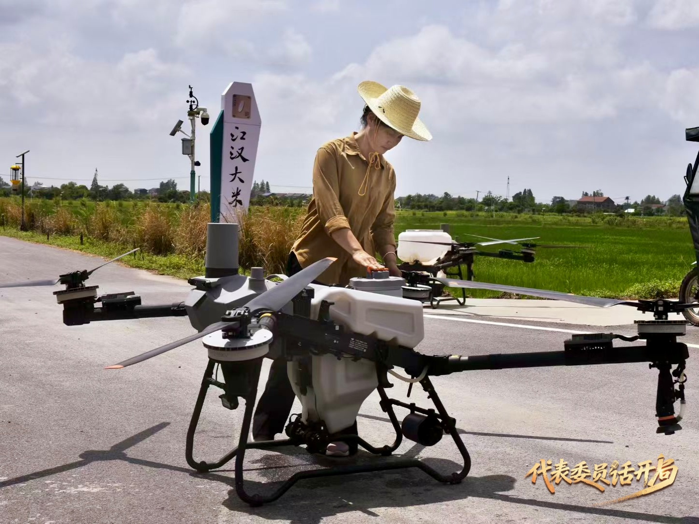 代表委员话开局｜毕利霞：让AI赋能稻田以科技守护荆楚粮仓(图2)