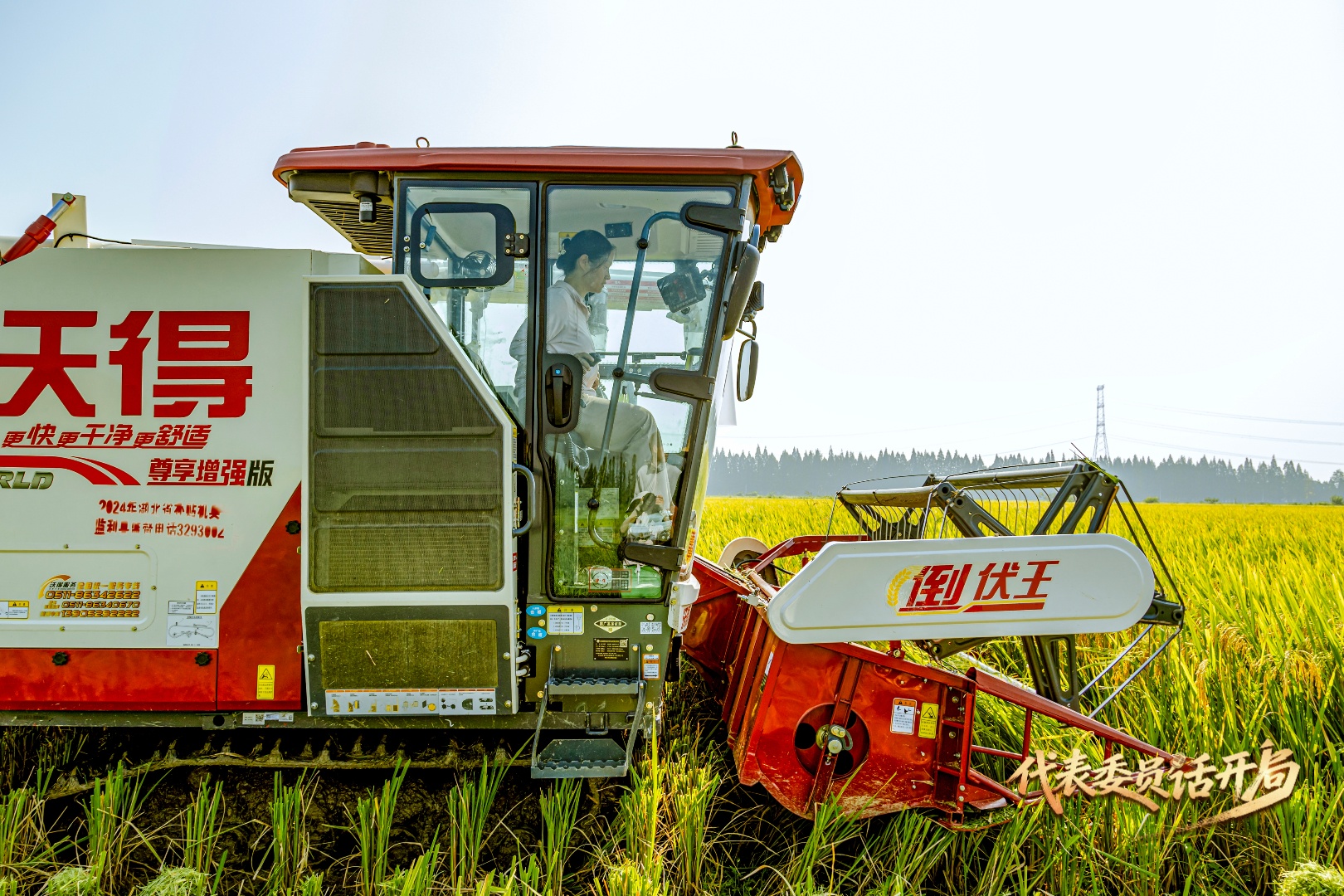 代表委员话开局｜毕利霞：让AI赋能稻田以科技守护荆楚粮仓