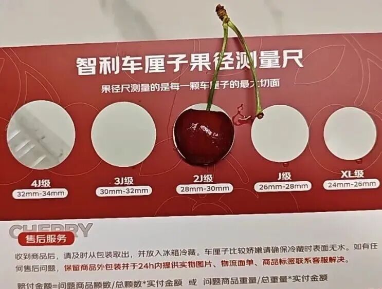 蓝莓越大营养就越少？很多人都选错了