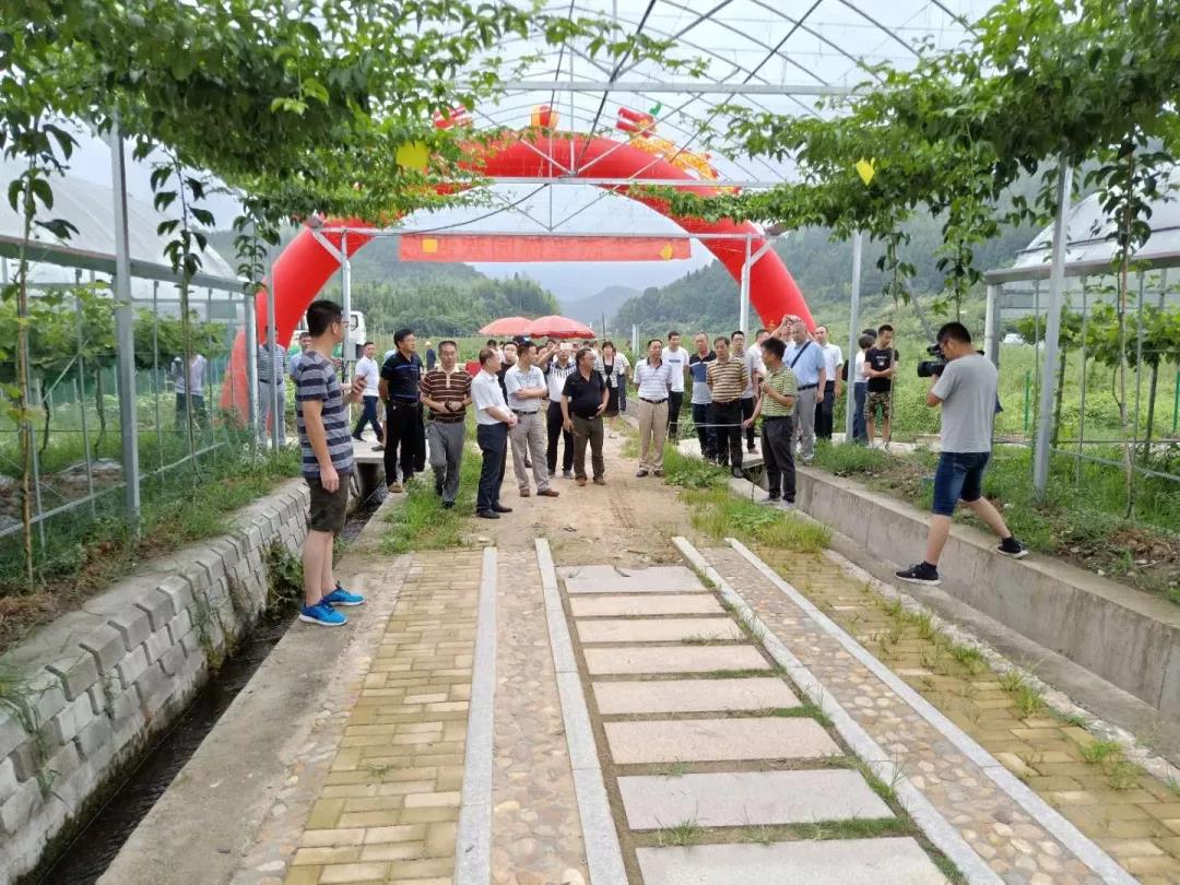 中国乡村经济的价值回归与系统重构让农民成为有尊严的职业