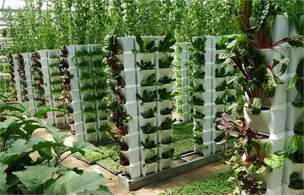 全国政协委员、农业农村部节水农业专家指导组成员马忠明：让节水插上智慧“翅膀”