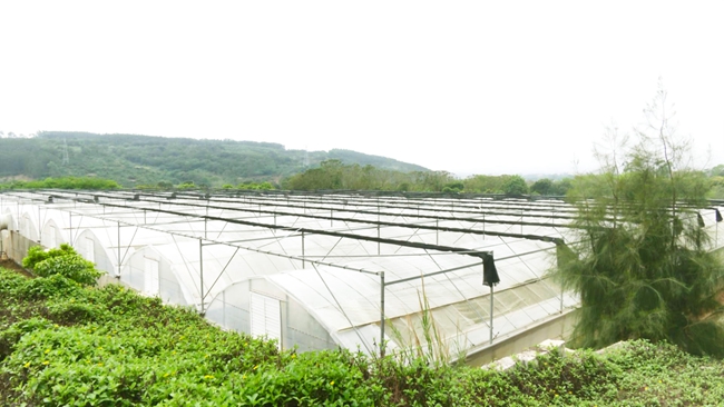 构建适应气候变化的农业防灾减灾新格局