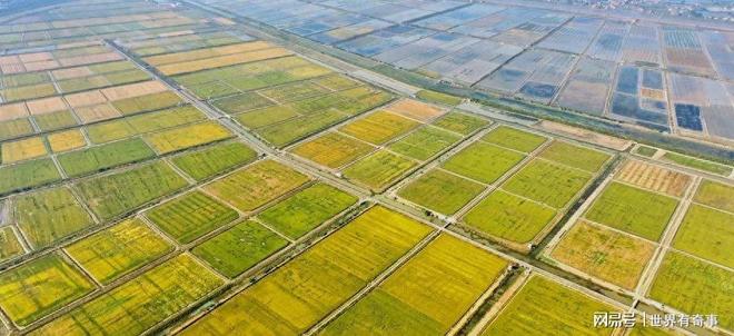 打不过中国那就饿垮中国？西方媒体算了笔账看得我大受震撼