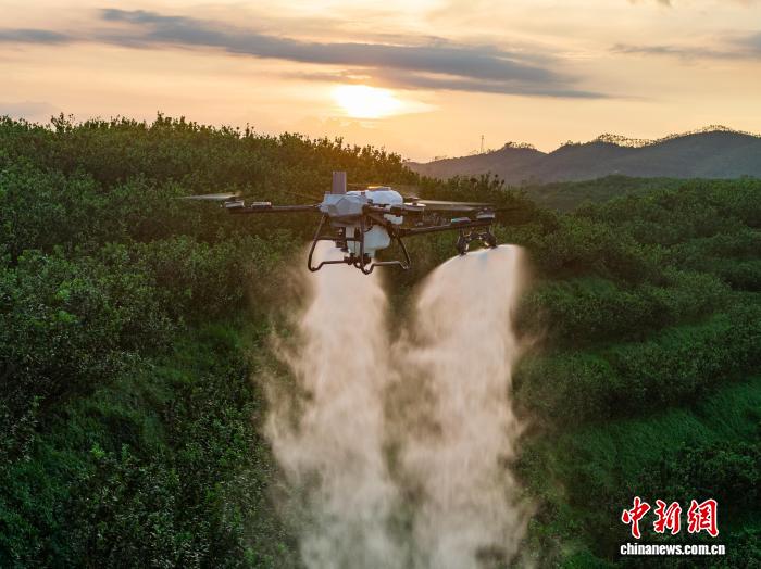 科技为农业“添翼” 浙江供销系统“智”援春耕生产