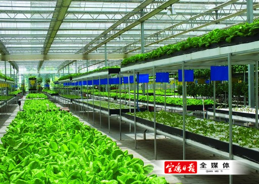 赵延庆委员：加强东北耕地保护 实现农业可持续发展