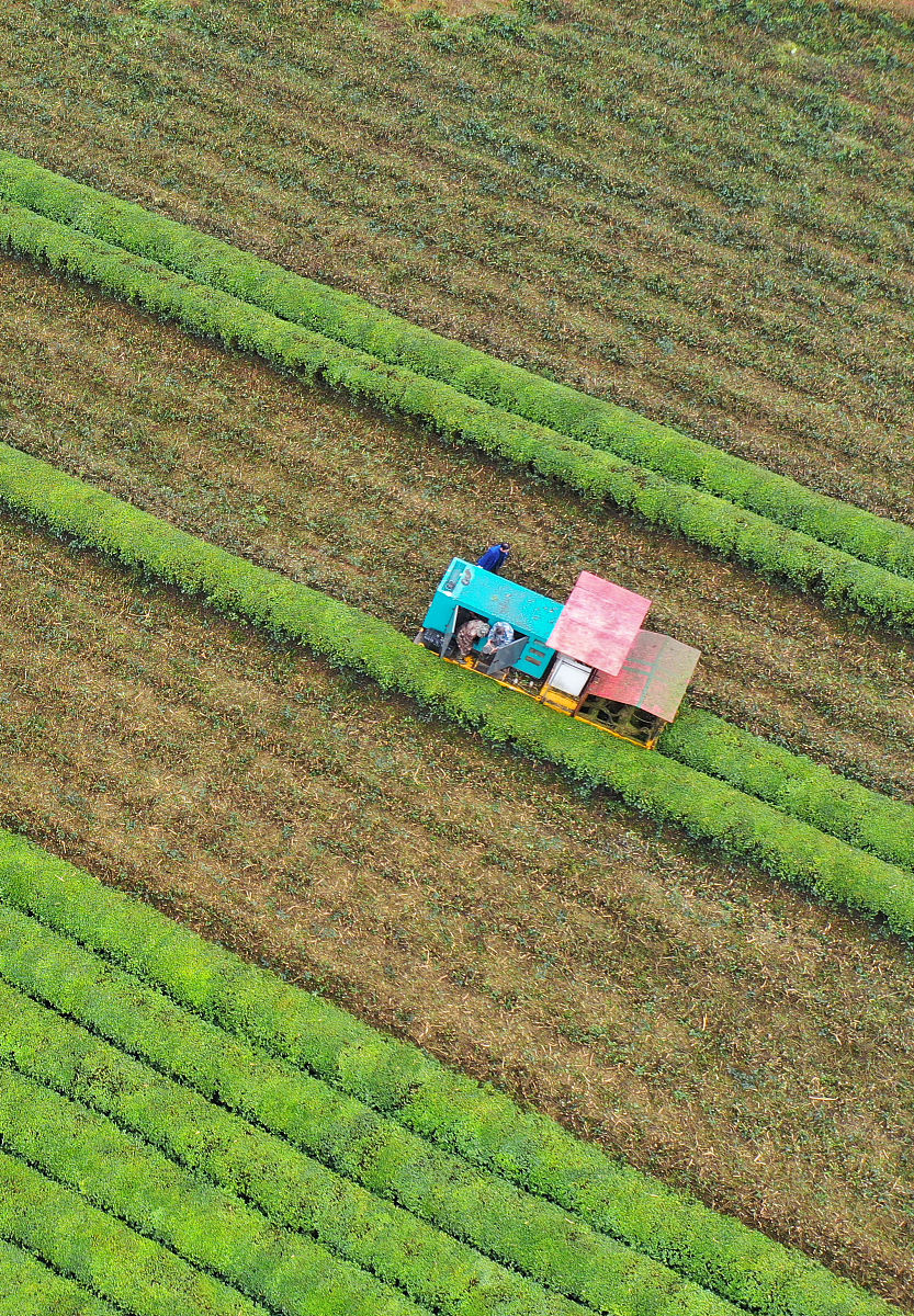 巴西多举措推动农业绿色转型