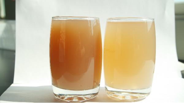 天然胶体助力重塑食品工业