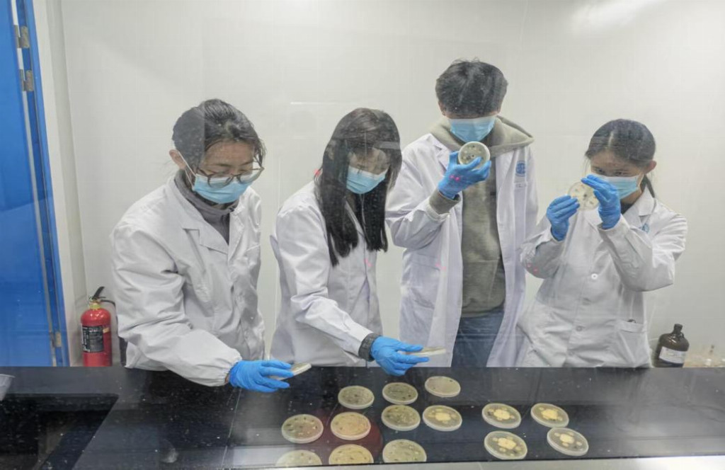 “千菌一发”团队：微生物技术破解中药材根腐病难题科技赋能绿色农业(图3)