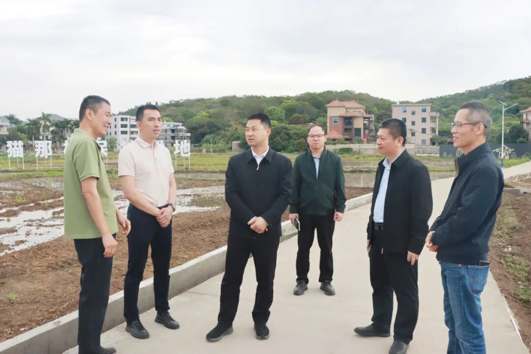 洛江区政府区长郭宁带队调研现代农业发展及春耕备耕工作(图2)