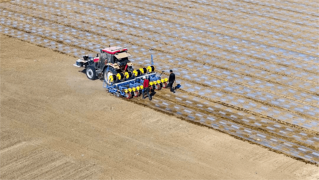 高质量发展“新”速度丨科技赋能 引领新疆农业的智慧跨越